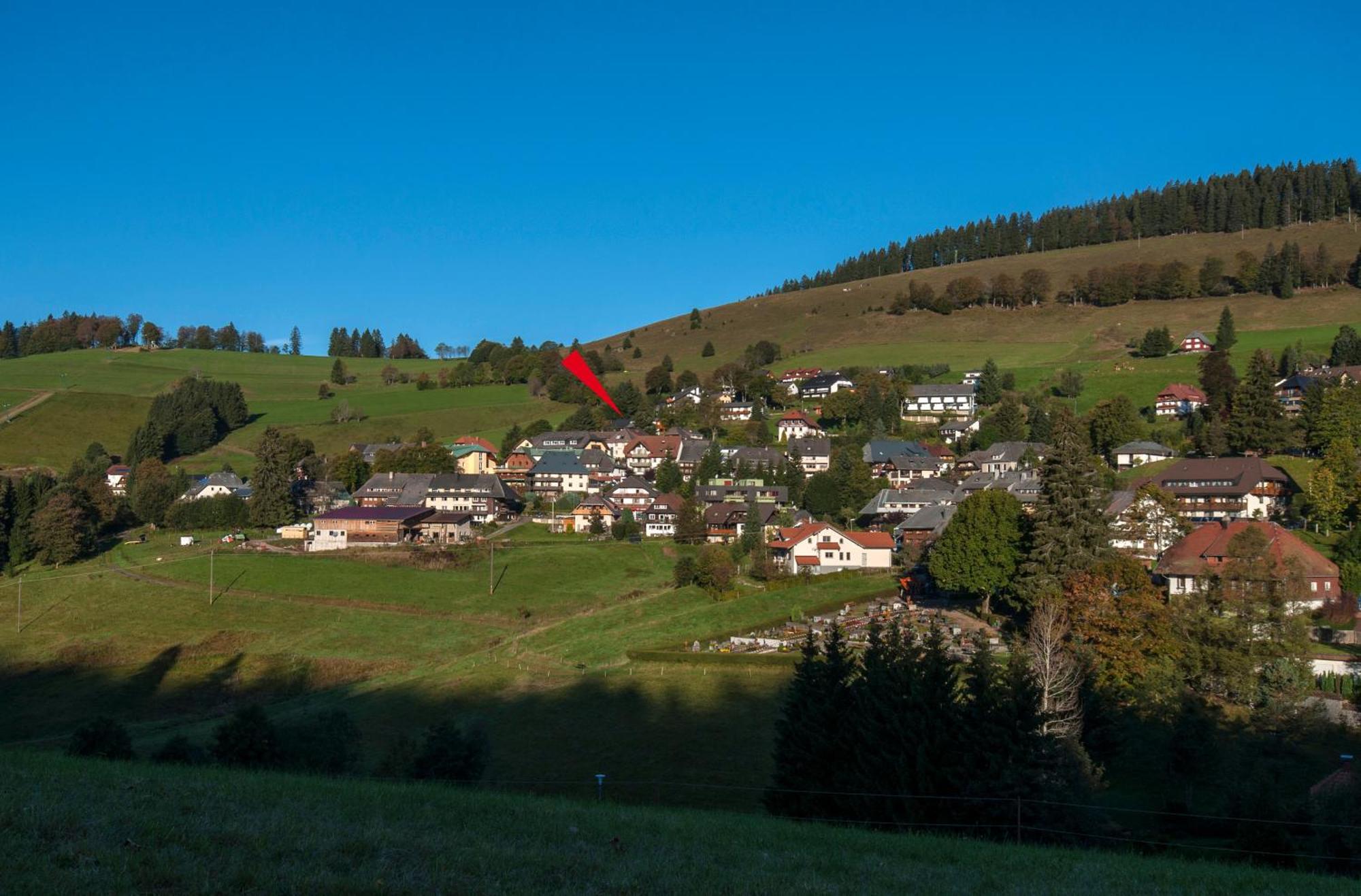 Apartment 06 - Ferienresidenz Roseneck, 2 Schlafzimmer, Mit Schwimmbad In Todtnauberg Bei Feldberg Экстерьер фото